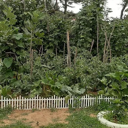 Two Bedroom With Private Garden At Cukurcayir District *